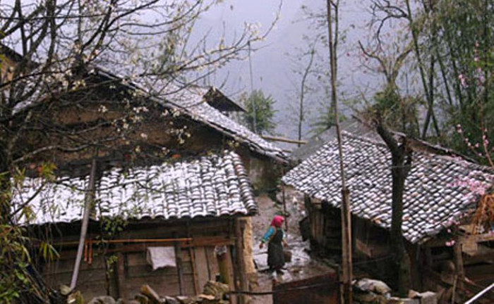 Tuyết rơi phủ một lớp dày 2cm tại thôn Lũng Hòa, xã Sà Phìn (Đồng Văn), phủ trắng mái nhà, ruộng vườn. Tuyết rơi phủ một lớp dày 2cm tại thôn Lũng Hòa, xã Sà Phìn (Đồng Văn), phủ trắng mái nhà, ruộng vườn.