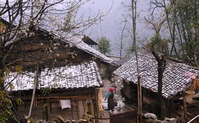 Tuyết rơi phủ một lớp dày 2cm tại thôn Lũng Hòa, xã Sà Phìn (Đồng Văn), phủ trắng mái nhà, ruộng vườn.