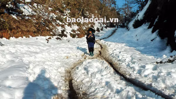 Tuyết phủ trắng đường giao thông.