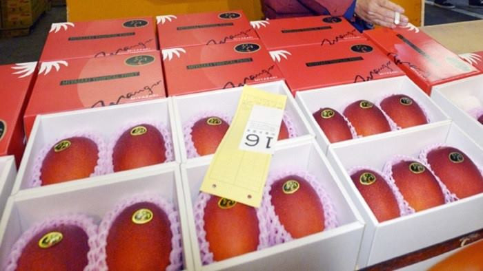 Xoài Nhập Bản nặng 350-400 gram có giá 1,7 triệu đồng (ảnh chưa rõ tác giả). Xoài Nhập Bản nặng 350-400 gram có giá 1,7 triệu đồng (ảnh chưa rõ tác giả).