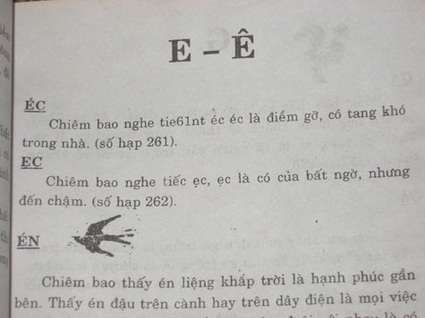 Sách đầy lỗi chính tả. Ảnh Nguyễn Minh