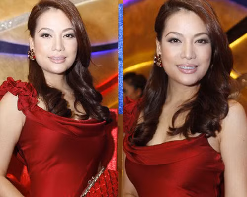 Gương mặt thanh thoát hiện tại của người đẹp.