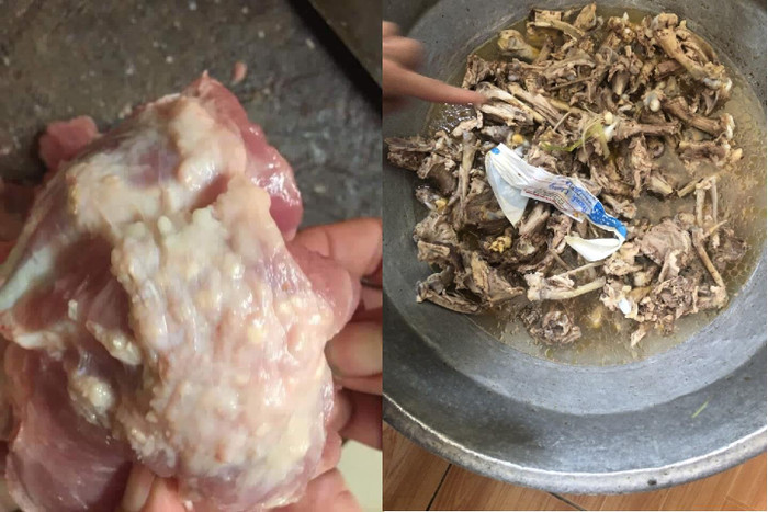 Thịt lợn có dấu hiệu bị nhiễm sán gạo (bên trái) và thịt gà bốc mùi ôi thiu bị phát hiện tại Trường mầm non Thanh Khương trước khi chế biến cho 586 học sinh ăn. Ảnh: NVCC. Thịt lợn có dấu hiệu bị nhiễm sán gạo (bên trái) và thịt gà bốc mùi ôi thiu bị phát hiện tại Trường mầm non Thanh Khương trước khi chế biến cho 586 học sinh ăn. Ảnh: NVCC.