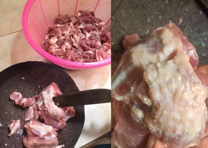 Hình ảnh thịt lợn nghi nhiễm sán gạo được chế biến cho học sinh trường mầm non Thanh Khương ăn. Ảnh: NVCC.