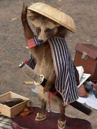 Khi động vật sành điệu! Khi động vật sành điệu!