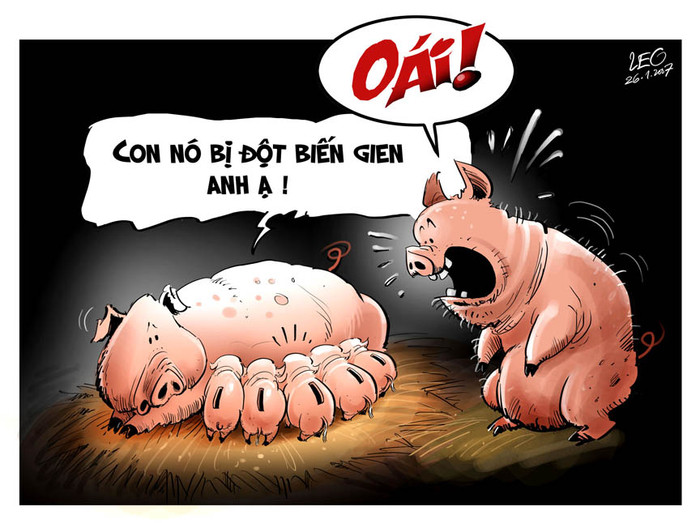 "Sửng sốt" "Sửng sốt"