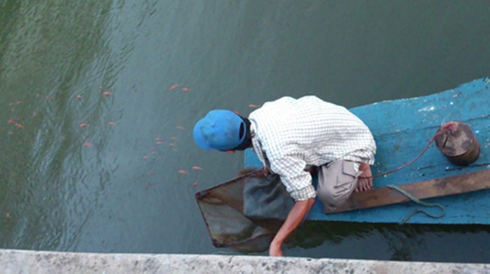 Một người khác đang rửa đồ nghề bán giun, nhân tiện thả những con giun còn thừa cho cá ăn. Một người khác đang rửa đồ nghề bán giun, nhân tiện thả những con giun còn thừa cho cá ăn.