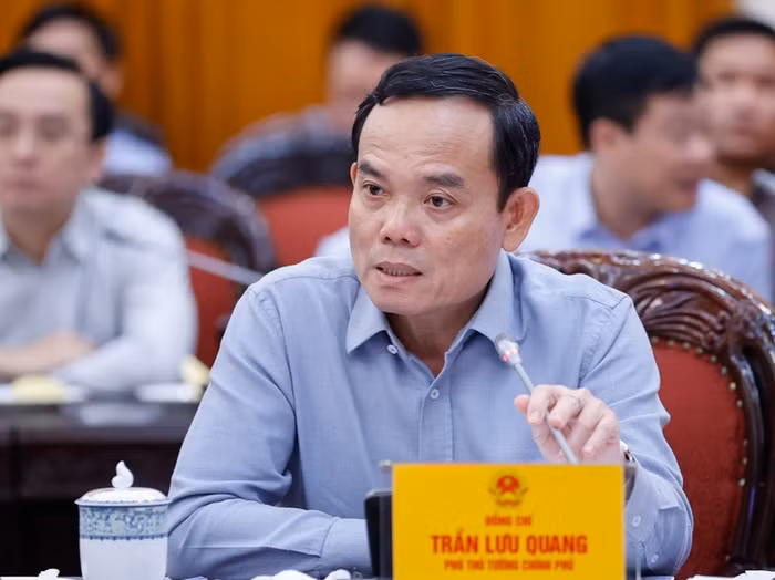 Phó Thủ tướng Trần Lưu Quang phát biểu tại cuộc họp. Ảnh: VGP/Nhật Bắc