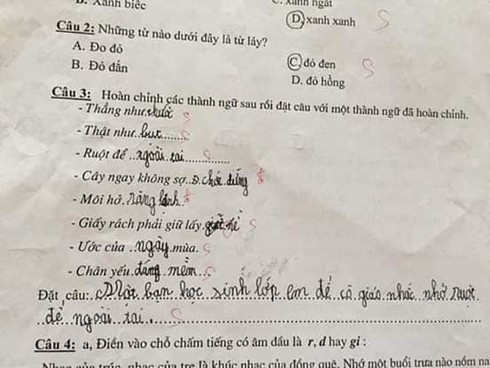 Các "tuyệt tác" thành ngữ được học sinh tiểu học sáng tạo ra (Ảnh: Infonet) Các "tuyệt tác" thành ngữ được học sinh tiểu học sáng tạo ra (Ảnh: Infonet)