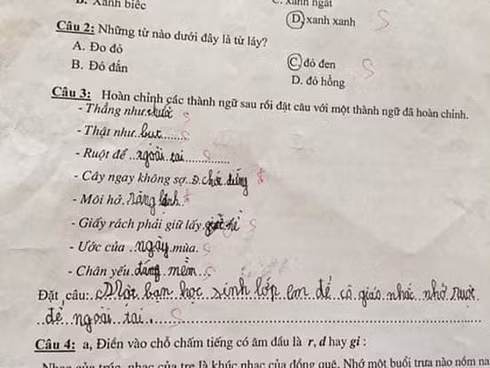 Các "tuyệt tác" thành ngữ được học sinh tiểu học sáng tạo ra (Ảnh: Infonet)