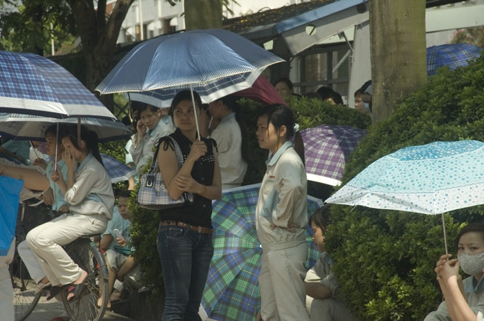 Tất cả dường như đều đã thấm mệt vì trời nắng Tất cả dường như đều đã thấm mệt vì trời nắng