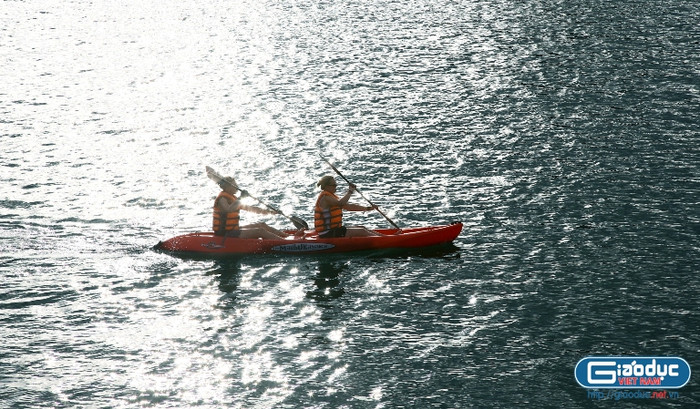 Vùng tập trung dày đặc các đảo đá có phong cảnh ngoạn mục và nhiều hang động đẹp nổi tiếng - là vùng trung tâm Di sản thiên nhiên vịnh Hạ Long, bao gồm Vịnh Hạ Long và một phần Vịnh Bái Tử Long. Vùng tập trung dày đặc các đảo đá có phong cảnh ngoạn mục và nhiều hang động đẹp nổi tiếng - là vùng trung tâm Di sản thiên nhiên vịnh Hạ Long, bao gồm Vịnh Hạ Long và một phần Vịnh Bái Tử Long.