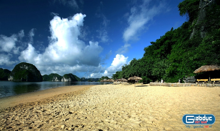 Hòn đảo mà du khách không thể bỏ qua trong chuyến thăm quan đó là Đảo Titốp, mang tên người anh hùng Liên Xô của thế kỷ trước đã bay vào vũ trụ. Bên trong những hòn đảo còn có những hang động đẹp tuyệt vời và huyền ảo đó là Thiên Cung, Đầu Gỗ, Sửng Sốt và Tam Cung. Hòn đảo mà du khách không thể bỏ qua trong chuyến thăm quan đó là Đảo Titốp, mang tên người anh hùng Liên Xô của thế kỷ trước đã bay vào vũ trụ. Bên trong những hòn đảo còn có những hang động đẹp tuyệt vời và huyền ảo đó là Thiên Cung, Đầu Gỗ, Sửng Sốt và Tam Cung.