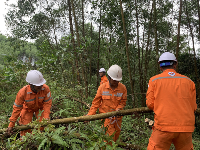 Công nhân Điện lực Hà Tĩnh ra quân xử lý, phát quang hành lang an toàn lưới điện. Công nhân Điện lực Hà Tĩnh ra quân xử lý, phát quang hành lang an toàn lưới điện.
