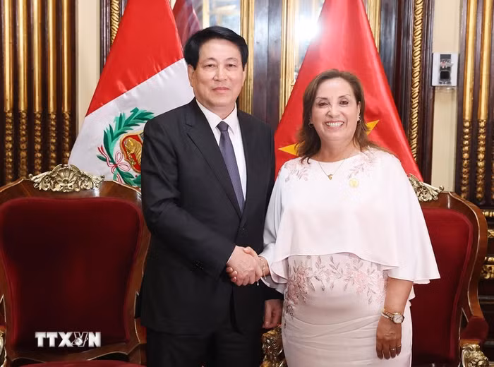 Chủ tịch nước Lương Cường và Tổng thống Peru Dina Ercilia Boluarte Zegarr. (Ảnh: Lâm Khánh/TTXVN)