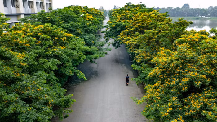 Môi trường sống “chạm” tới thiên nhiên tại Ecopark.