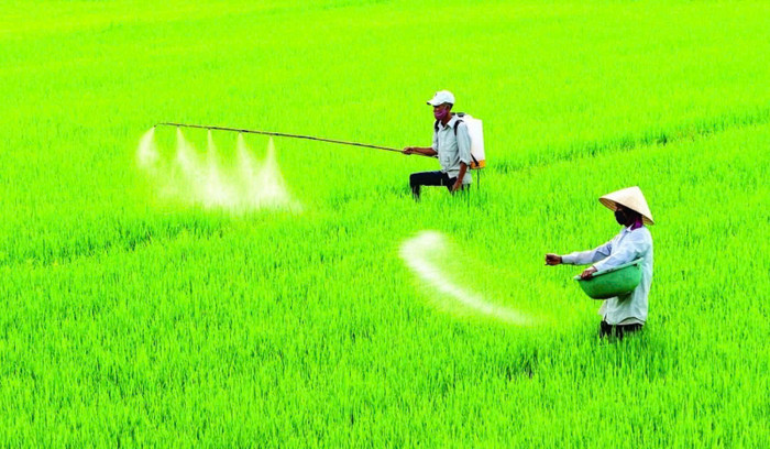 Việc áp dụng thuế giá trị gia tăng 5% là người dân hưởng lợi chứ không phải giá phân bón sẽ tăng lên 5%. A2 (33).jpg