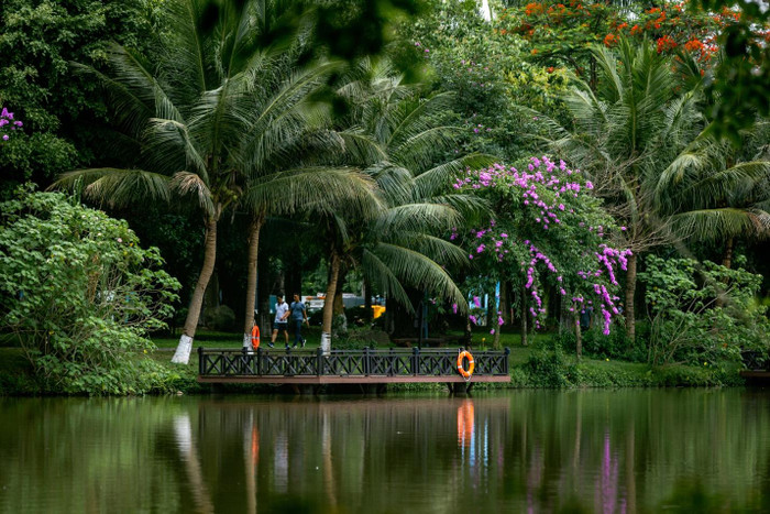 Mùa hè xanh ngắt ở Ecopark Mùa hè xanh ngắt ở Ecopark
