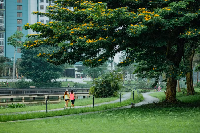 Mai và nhiều cư dân khác tập thể dục trong nội khu.
