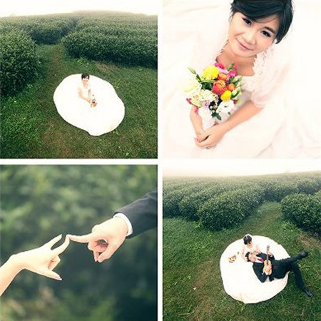 Những bức hình cưới của vợ chồng Giáo sư Xoay và Hồng Nga rất lãng mạn nhưng không kém phần độc đáo, ấn tượng. Ngay sau khi đăng tải những hình ảnh này nữ MC của VTV2 nhận được khá nhiều lời khen ngợi từ bạn bè cũng như người hâm mộ chuyện tình hai người.