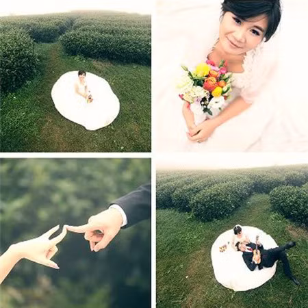 Những bức hình cưới của vợ chồng Giáo sư Xoay và Hồng Nga rất lãng mạn nhưng không kém phần độc đáo, ấn tượng. Ngay sau khi đăng tải những hình ảnh này nữ MC của VTV2 nhận được khá nhiều lời khen ngợi từ bạn bè cũng như người hâm mộ chuyện tình hai người.