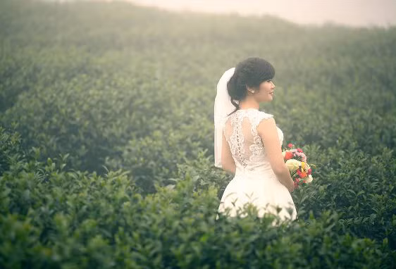 Bà xã tương lai của Giáo sư Xoay.