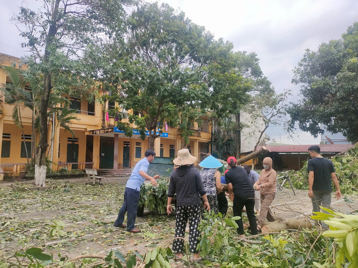 Giáo viên và phụ huynh trên địa bàn huyện Thường Tín khắc phục sự cố sau bão. (Ảnh: NTCC) ad-4nxcwbfgragrojasmyhqp5rkiflnir-dbg-4esci4okyi415ahiomsmfckz1xyw9wpb0avu9pjv8ffgt6-fnlohvhsrkwzwkhgdvugjpu5pdvjkt7-nxcetpu6nxdw2p4h3ckb8u5knkcxmm7wmrhoxejkwdp-188.png