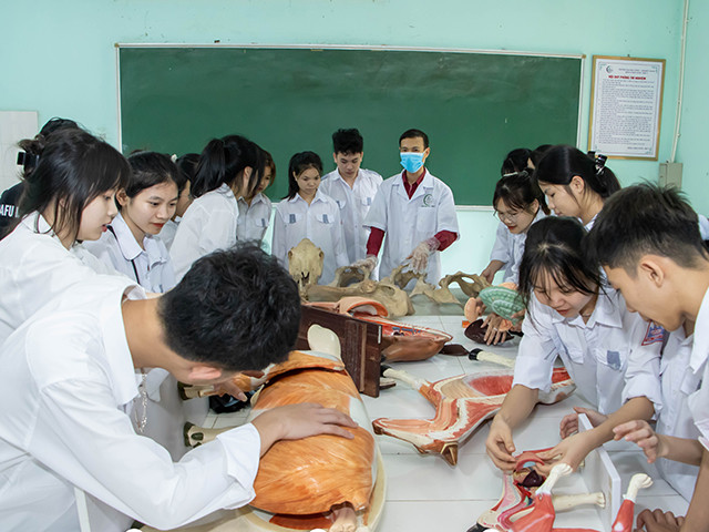 Trường Đại học Nông - Lâm Bắc Giang tổ chức cho học sinh phổ thông trải nghiệm mô hình giải phẫu Khoa Chăn nuôi – Thú y. (Ảnh: website nhà trường) thptdtnt(9).jpg