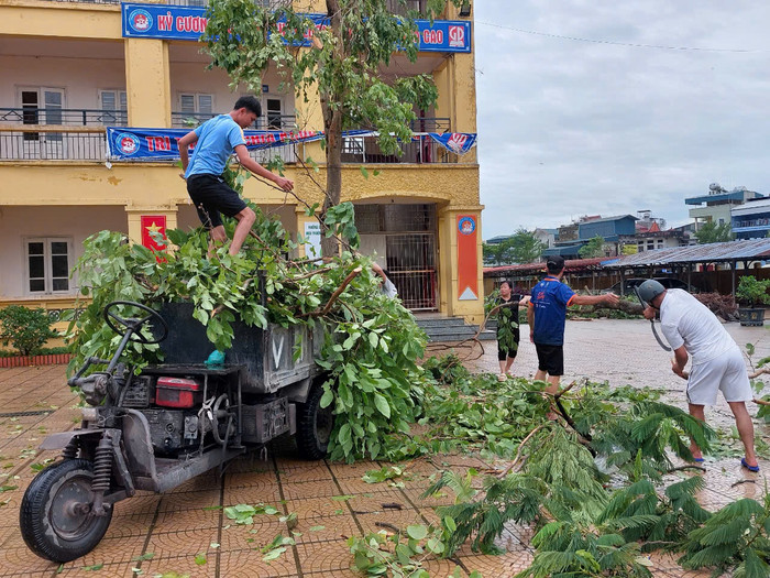 Các trường học tiến hành dọn dẹp, khắc phục hậu quả sau bão. (Ảnh: Phòng Giáo dục và Đào tạo huyện Thanh Trì cung cấp) dd625a9728688f36d679.jpg