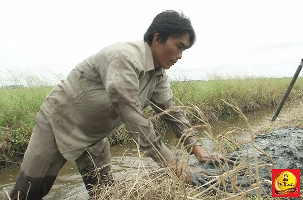 Anh Lâm Hải Bằng Anh Lâm Hải Bằng