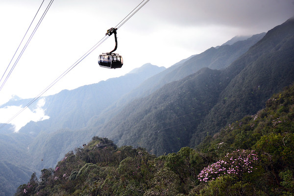 Cabin cáp treo Fansipan mùa hoa đỗ quyên Cabin cáp treo Fansipan mùa hoa đỗ quyên