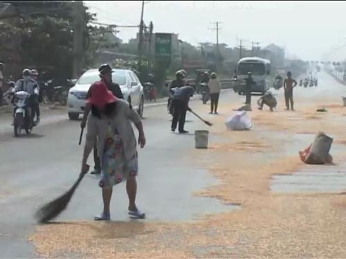 Những người dân này quét bắp giúp người tài xế