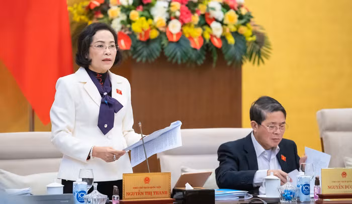 Phó Chủ tịch Quốc hội Nguyễn Thị Thanh phát biểu.