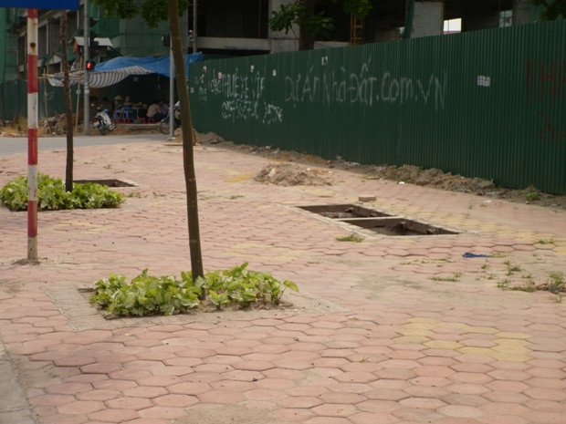 Chỉ chưa đầy 5m2 đã xuất hiện "một chùm" hố cáp mất nắp Chỉ chưa đầy 5m2 đã xuất hiện "một chùm" hố cáp mất nắp