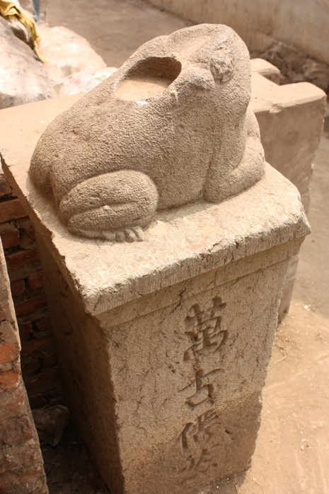 Con cóc đá Con cóc đá