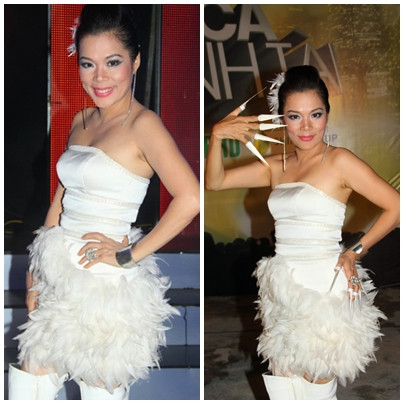 Chẳng cần thêm bộ móng 'yêu tinh" này thì chiếc váy "lông lá' của Mỹ Lệ cũng đã đù khiến mọi người "giật mình".