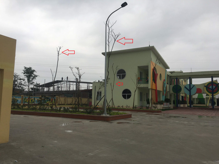 Danh mục cây xanh chỉ hơn 168 triệu đồng, chiếm một phần rất nhỏ trong tổng mức đầu tư dự án. Đáng nói, cây được trồng có đường kính rất nhỏ. Ảnh: Vũ Phương. Danh mục cây xanh chỉ hơn 168 triệu đồng, chiếm một phần rất nhỏ trong tổng mức đầu tư dự án. Đáng nói, cây được trồng có đường kính rất nhỏ. Ảnh: Vũ Phương.