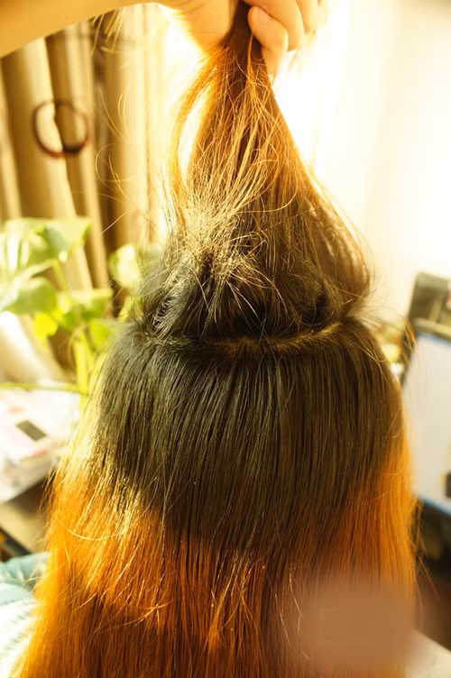 Lấy phần tóc trên đỉnh đầu, dùng lược chải theo chiều ngược lại với chiều tóc để đánh rối phần trong tóc.