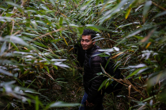 Con đường kéo điện ngày xưa giờ rậm rạp cây cối Con đường kéo điện ngày xưa giờ rậm rạp cây cối