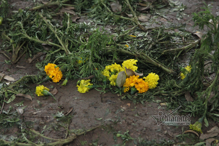 Vườn hoa Hồ Gươm sau đêm 1/1/2019 (ảnh Vietnamnet.vn) Vườn hoa Hồ Gươm sau đêm 1/1/2019 (ảnh Vietnamnet.vn)