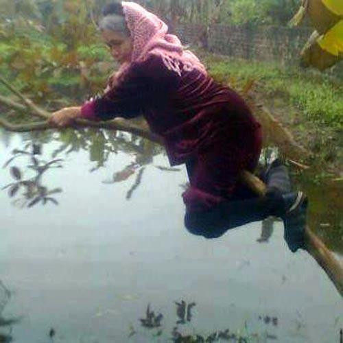 Gừng càng già càng cay. Gừng càng già càng cay.