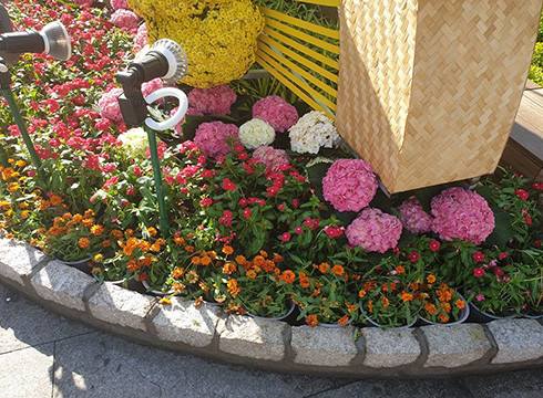 Nhiều chậu hoa đã bị dập nát, xiêu vẹo, khó coi trong mắt người thưởng ngoạn (ảnh: P.L) Nhiều chậu hoa đã bị dập nát, xiêu vẹo, khó coi trong mắt người thưởng ngoạn (ảnh: P.L)