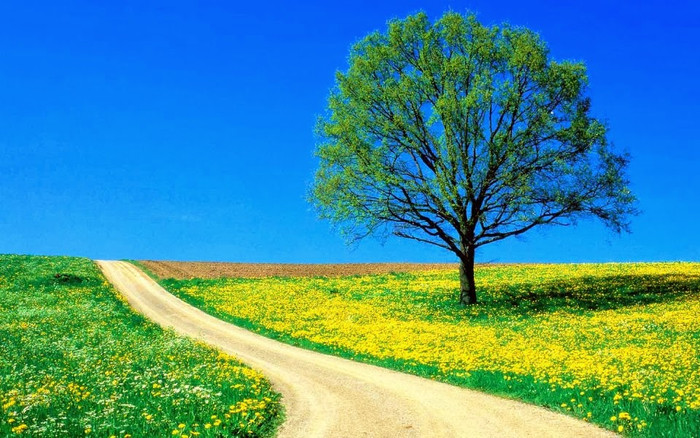 Một chút lạm bàn về công danh ảnh 3