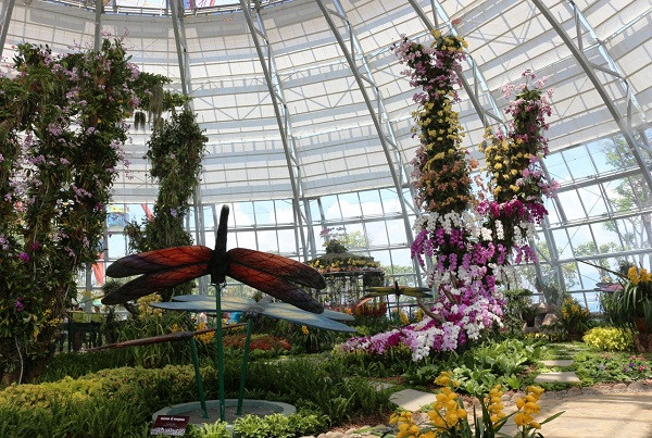 Thiên đường Hoa Lan khoe sắc hàng trăm loài lan rừng quý hiếm. Thiên đường Hoa Lan khoe sắc hàng trăm loài lan rừng quý hiếm.