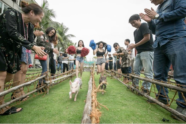 “Đua Heo” vô cùng đáng yêu tại Holy Pig vào sáng chủ nhật hàng tuần “Đua Heo” vô cùng đáng yêu tại Holy Pig vào sáng chủ nhật hàng tuần