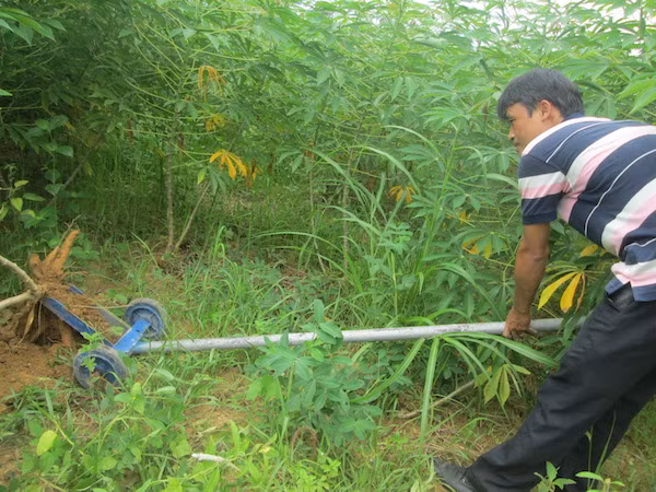 Nữ sinh đạt giải Nhì cuộc thi sáng tạo khoa học kỹ thuật cấp Tỉnh ảnh 3 Nữ sinh đạt giải Nhì cuộc thi sáng tạo khoa học kỹ thuật cấp Tỉnh ảnh 3