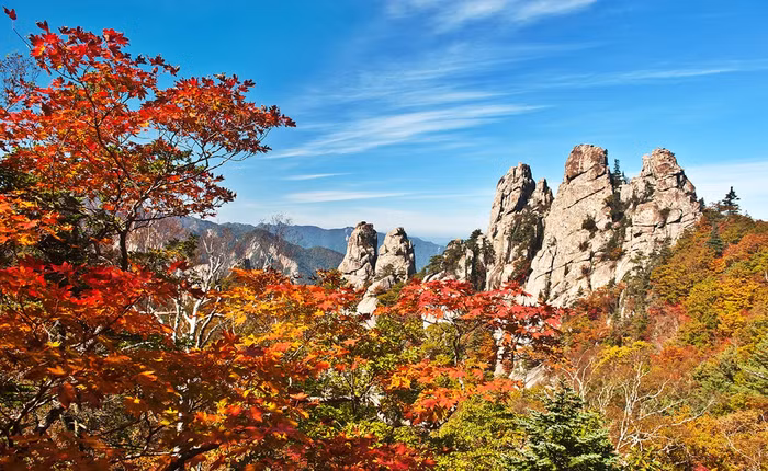 Nhiều ưu đãi lớn mùa du lịch hè tại Vietravel Hà Nội ảnh 5