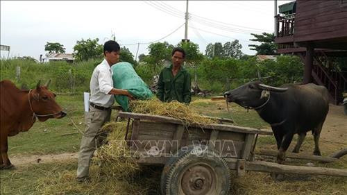 Đảng viên xã Ia Piar hướng dẫn bà con chăn nuôi đúng quy trình, cho hiệu quả kinh tế cao, giúp nhiều hộ nghèo thoát nghèo bền vững. Ảnh: TTXVN Đảng viên xã Ia Piar hướng dẫn bà con chăn nuôi đúng quy trình, cho hiệu quả kinh tế cao, giúp nhiều hộ nghèo thoát nghèo bền vững. Ảnh: TTXVN