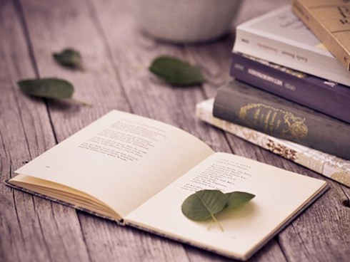 Làm thế nào để làm tốt bài thi môn Ngữ văn? Ảnh minh họa: http://thoidai.com.vn