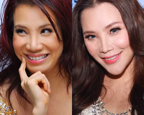 Vẫn là một nụ cười nhưng sao giờ đây Hồ Quỳnh Hương kém tươi đến vậy? Rất nhiều khán giả tiếc nuối vẻ đẹp cá tính, tự nhiên trước kia của Hồ Quỳnh Hương.